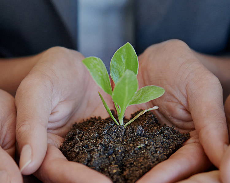 �ŵ�88(�й���½)���޹�˾ - �ٷ���վ