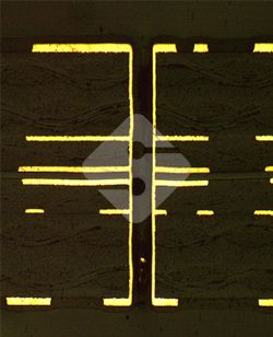 �ŵ�88(�й���½)���޹�˾ - �ٷ���վ