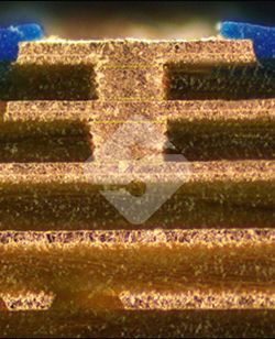 �ŵ�88(�й���½)���޹�˾ - �ٷ���վ