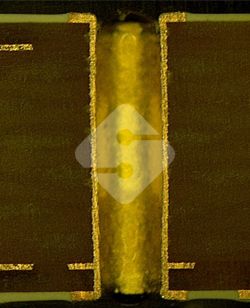 �ŵ�88(�й���½)���޹�˾ - �ٷ���վ