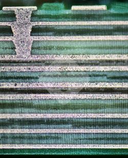 �ŵ�88(�й���½)���޹�˾ - �ٷ���վ