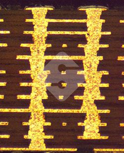 �ŵ�88(�й���½)���޹�˾ - �ٷ���վ